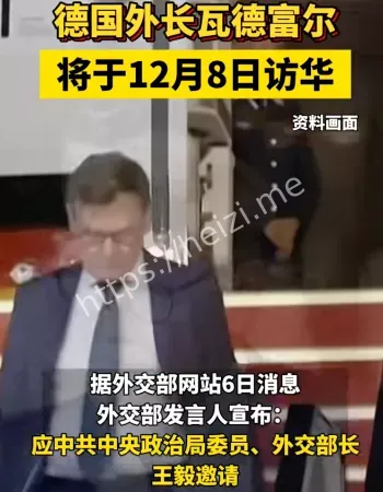 德国外长访华